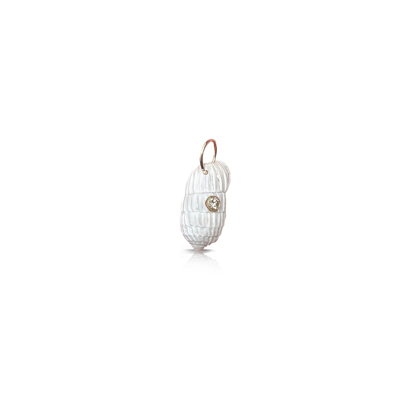 14k Cerion Shell Charm