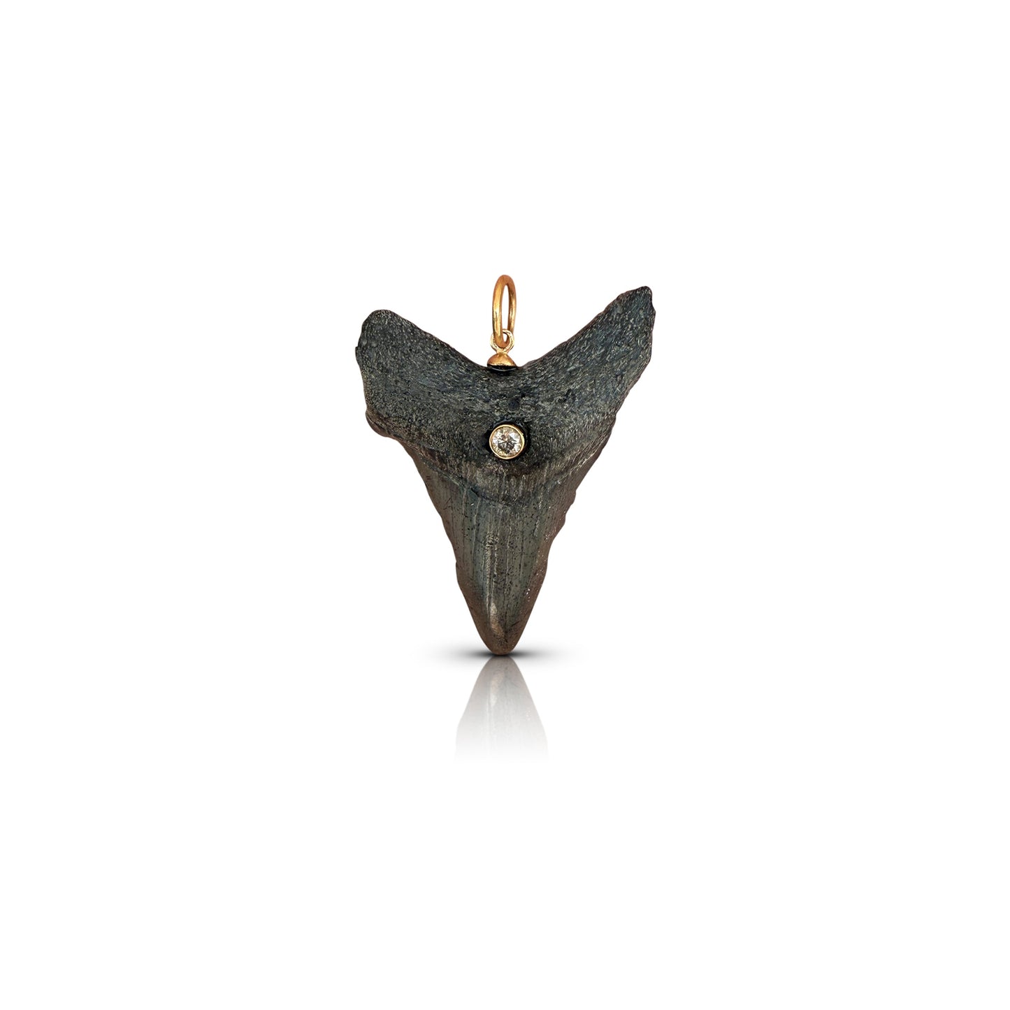 14k and Diamond Sharks Tooth