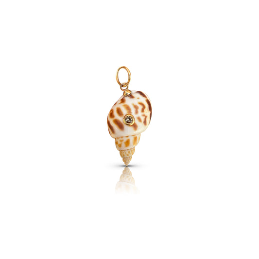 14k Natural Shell Pendant